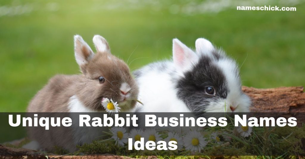 Unique Rabbit Business Names Ideas