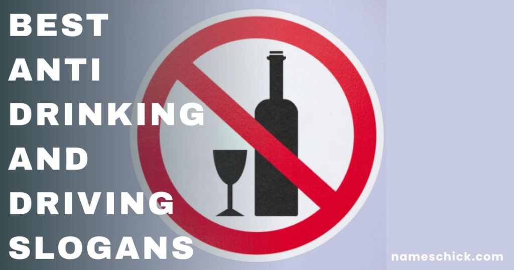 Best Anti Drinking And Driving Slogans